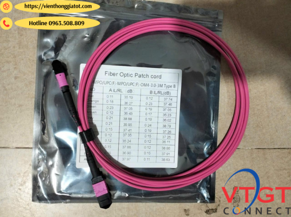 Dây nhảy quang MPO-12 (12 fibers) Multimode OM4 (MPO-MPO), female-female,Type B dài 5M
