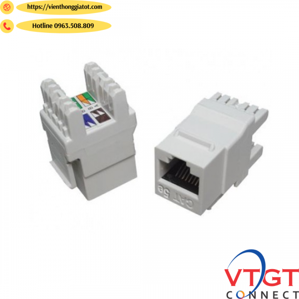 Nhân Ổ cắm mạng CAT5e DINTEK (1305-03030)