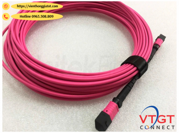 Dây nhảy quang MPO-MPO-12Fo Multimode OM4 dài 25M