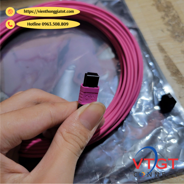 Dây nhảy quang MPO-MPO-12Fo Multimode OM4 dài 20M