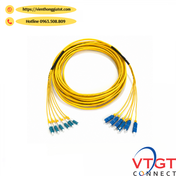 Dây nhảy quang bó 4-8-12-24FO Singlemode SC/UPC To LC/UPC 